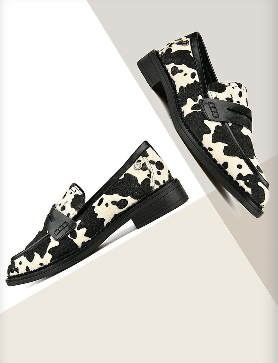 Lady's shoes