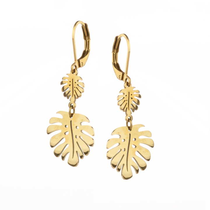 Lady's earrings